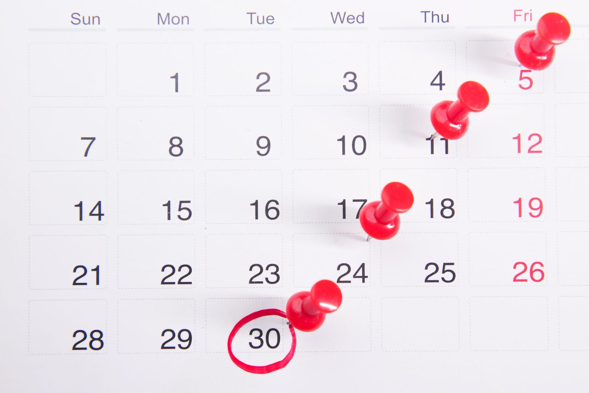 A calendar page marked by red pins and red marker circles.