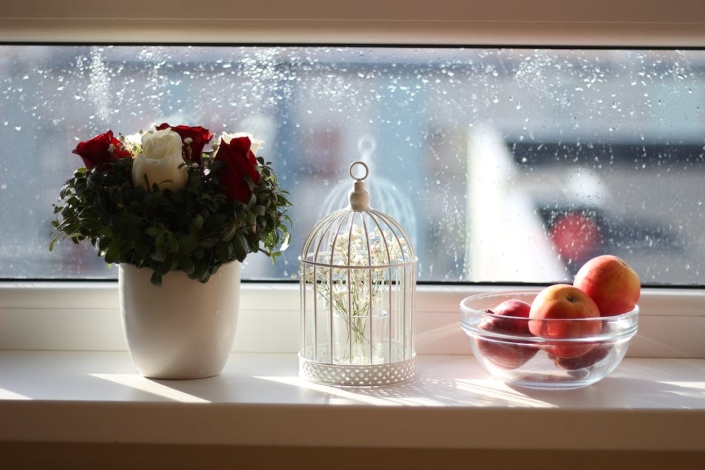 A Small Pot of Roses, Some Stems in a Cage, and a Bowl Containing Apples on a Window Ledge